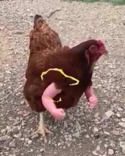 sera q hoje o modera aceita