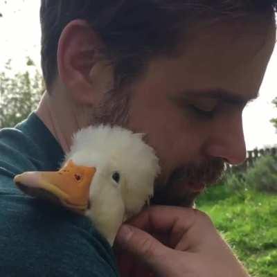 Happy duck loves her human