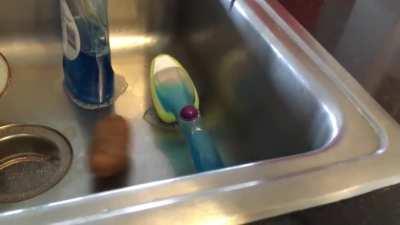 This video i took when i was 11 still haunts me to this day...