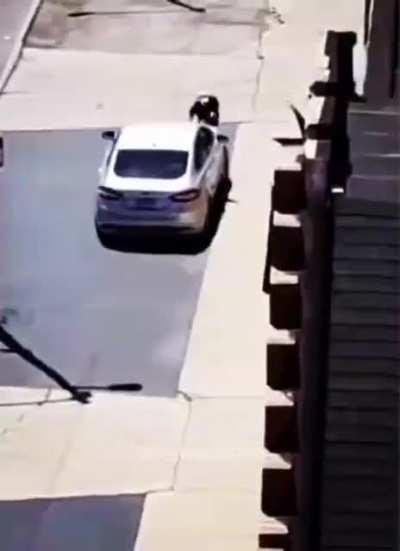 WCGW throwing rocks on random cars