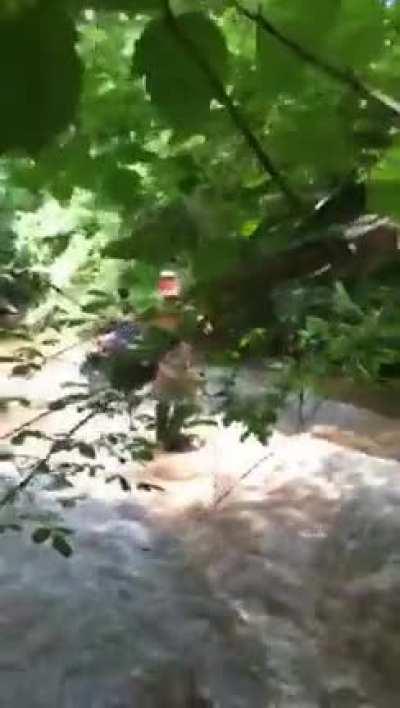 This is what we call creek boardin’