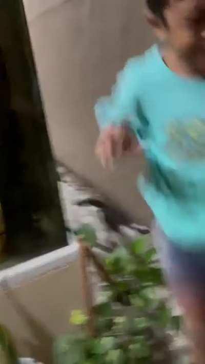 Guiding the cat to catch a mouse