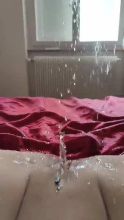 ⛲Need a new sprinkler system?⛲