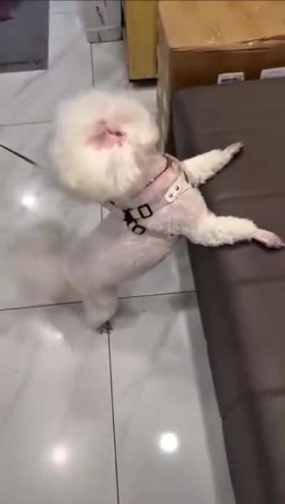 Wait what? Oh nevermind