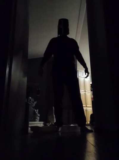 What are you watching son?