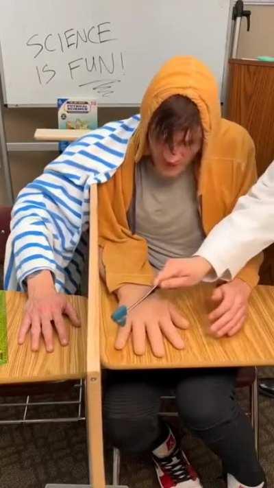 body transfer illusion