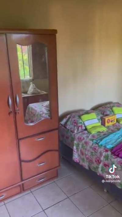 Every human deserves a safe place to call home. Every human deserves to be treated with dignity.