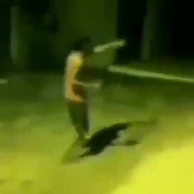 ChratosGameplay - Video #1856