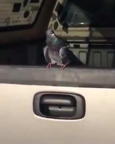 PACK DO CIGANO🙏🔪