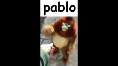 Have you spread the loving word of Pablo today?