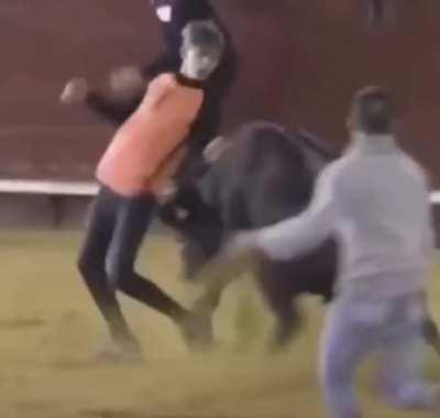 Crazy guy escapes from Wild Bull with a Backflip