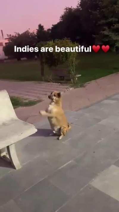 Hamse jyada to ye sanatani lag rha hai