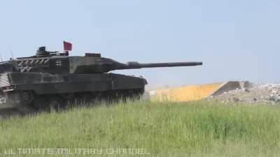 #freetheleopard David Attenborough call to reintroduce the species in the Ukraine since his extinction in 1945