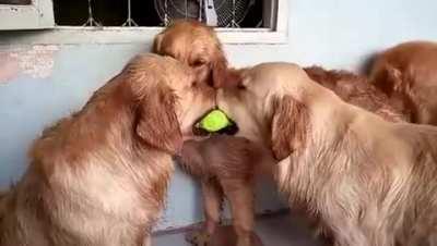 Break it up you two ... No need for fighting