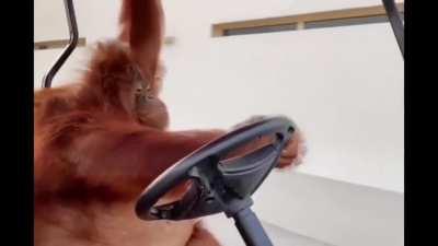 Right song for this dude