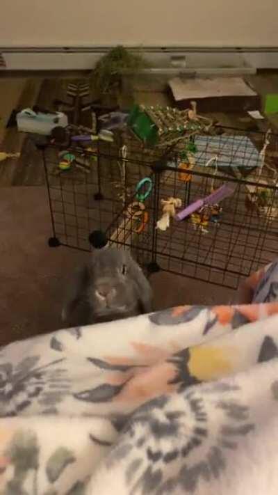 George playing peekaboo!