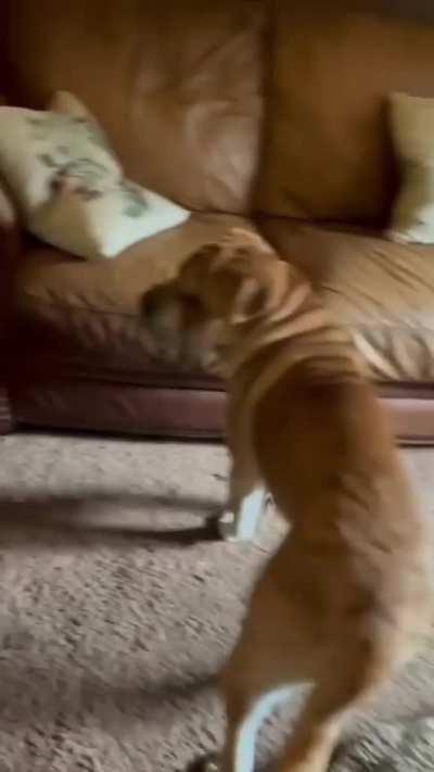 If I can't see them, they can't see me