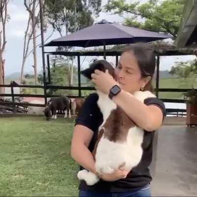 Please enjoy this video of a baby horse being cuddled. It’s something you never knew you needed to see.