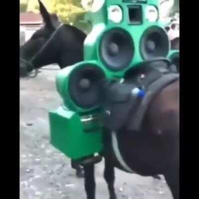 Se liga na nave do pai