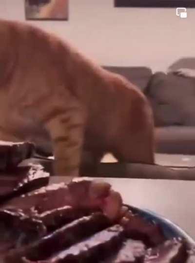 And the Redhead thinks: my God, is this really all for me