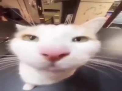 Wordington Achievement of God