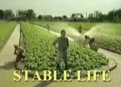 Through your choices in the face of adversity, only you have the power to become a better version of yourself