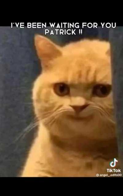 Who do they think they are?