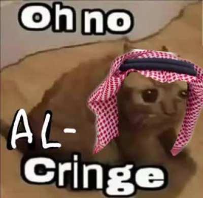 Saudi Arabia cringe