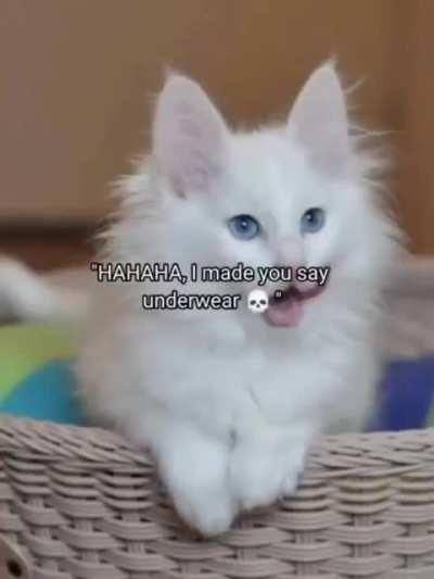 ForShub - Video #8152