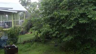 Rain hitting my tin roof here in Brisbane, Australia (sound on)