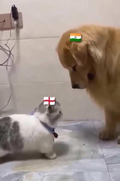 The third test between Ind and Eng in a nutshell