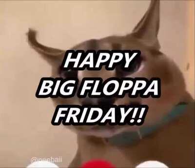 these bitches love floppa