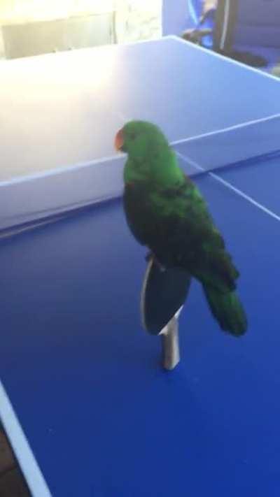 Life is about balance.