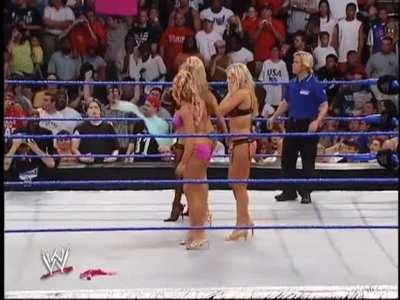 Sable, Torrie Wilson, Dawn Marie, and Miss Jackie