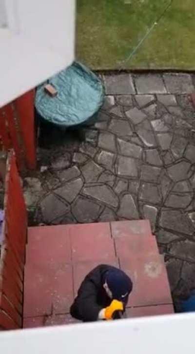 Вор любитель