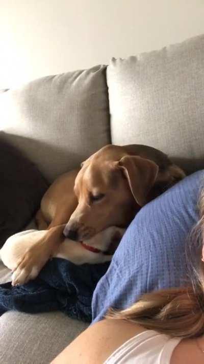 Just a taste test...