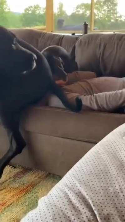 The amount of disrespect 🤣