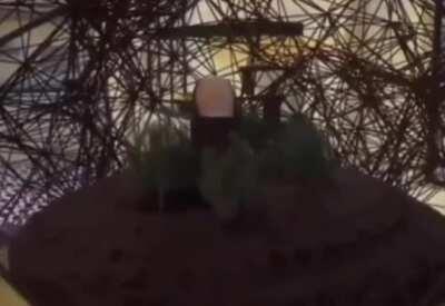 Arkadaşlarımın saat 3'de gönderdikleri part 2