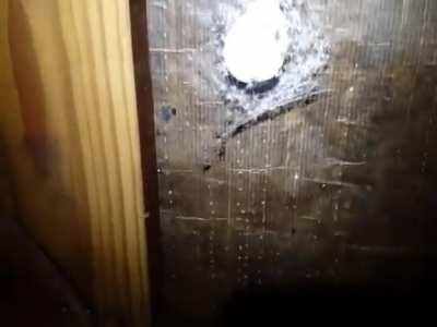 Thanks, I hate the mother