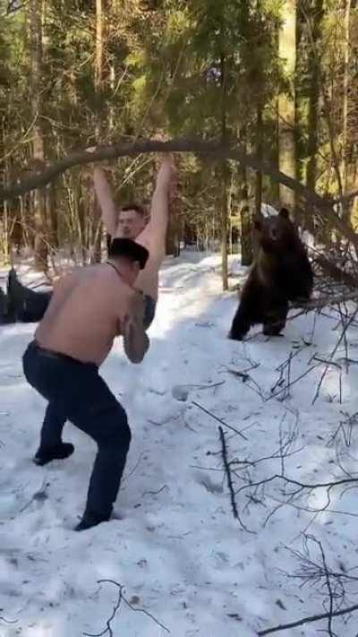 Bear helps with a winter workout