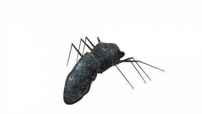 Your Rave Has Been Interrupted