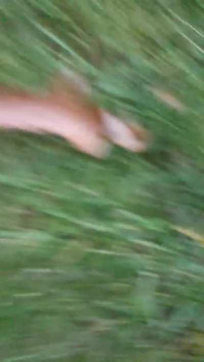 Was going for the slow motion action shot, got tackled instead.