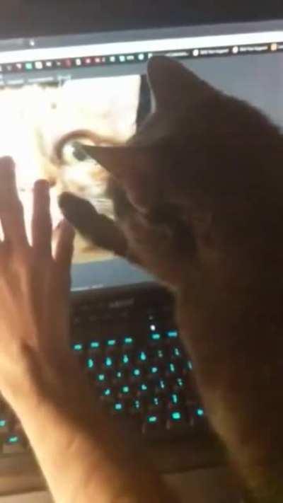 Just a little peanut butter and jealous