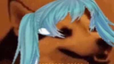 Miku Dog, Bottom Text