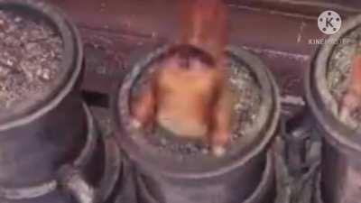 I had to add music. I couldn't resist.