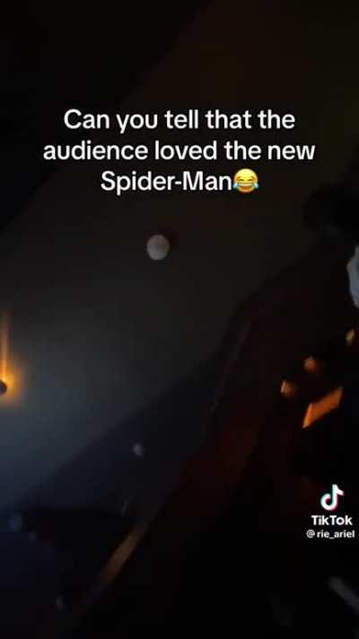 Across the Spider-Verse got everybody in shambles lol