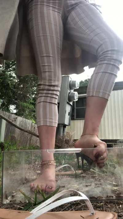 They got to witness first hand what happens if we escape !!