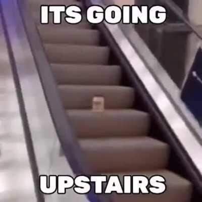 it's on escalator😳