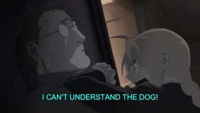 Why did you teach him to speak spanish? [source in comments]