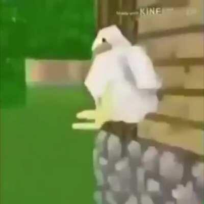 Alın size kaliteli shitpost